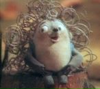 Фотография Бондаренко Оксаны