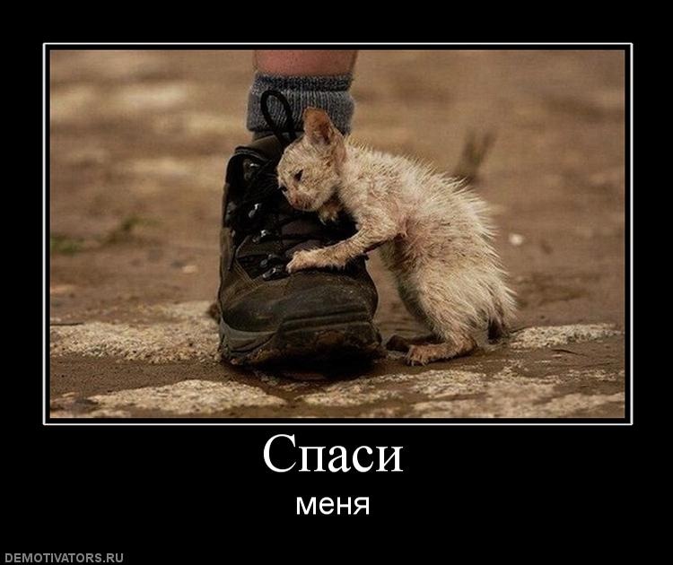 Александр Бажан фотография #18