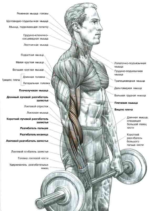 Яраш Акаев фотография #22