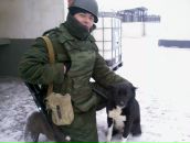 Фотография Алексеева Евгения